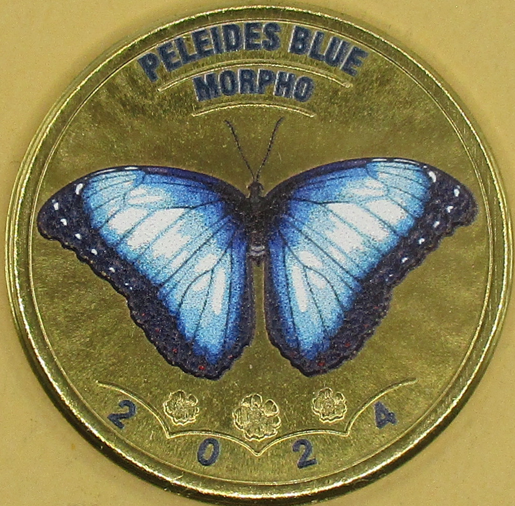 LA PALMA motyl Morpho peleides blue 5 ducatos