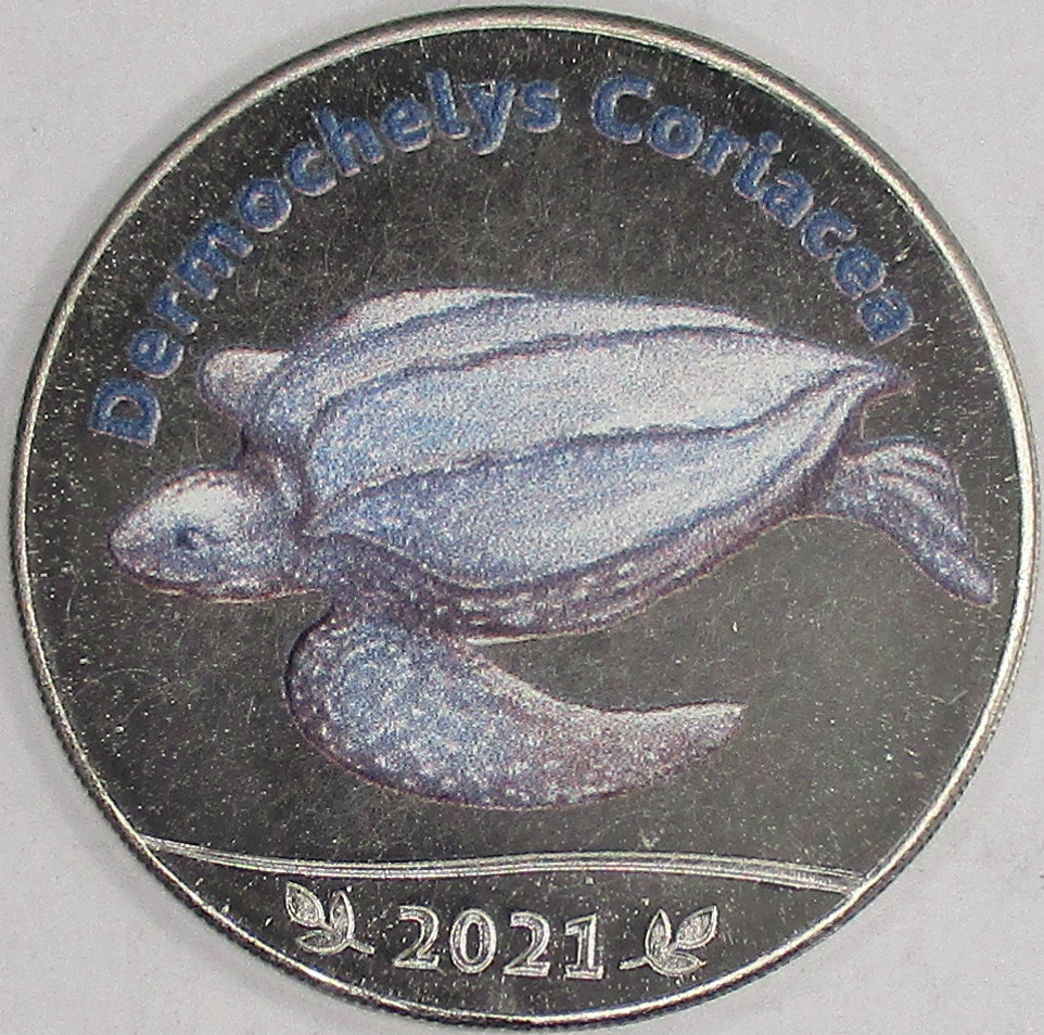 Zdjęcie do Żółw skórzasty dermochelys coriacea