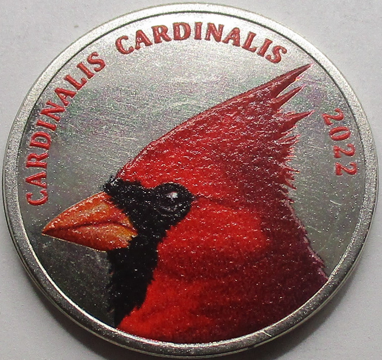 Wyspa New Providence Kardynał szkarłatny Cardinalis cardinalis