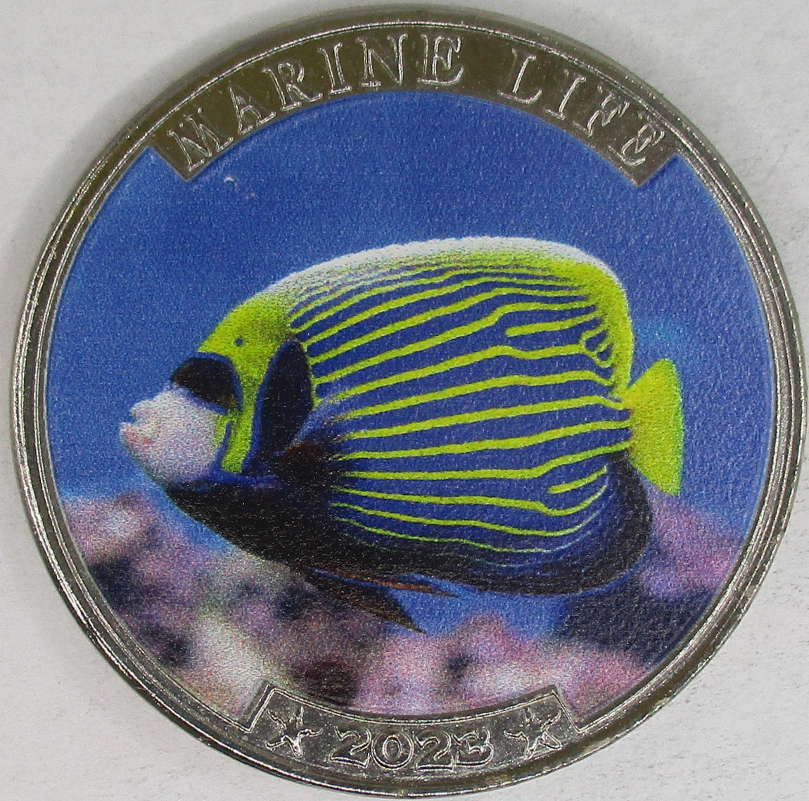 NARCONDAM Angelfish