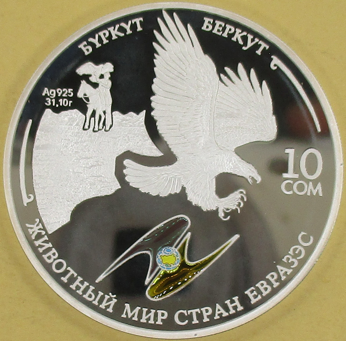 Złoty orzeł Berkut 10 som