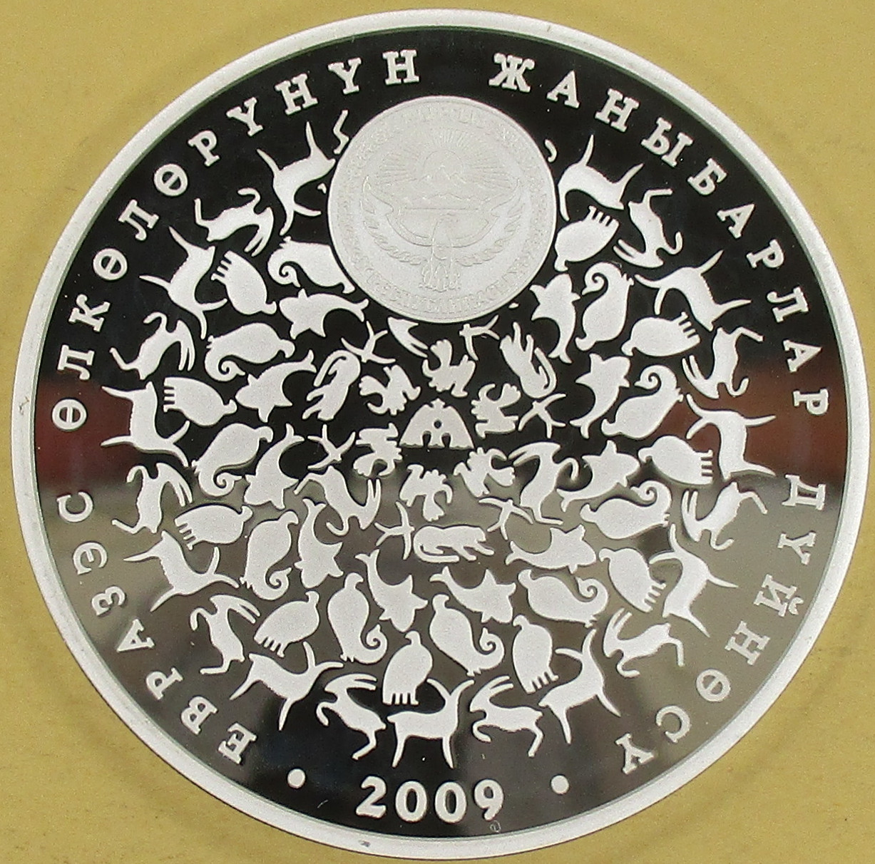 Zdjęcie do Złoty orzeł Berkut 10 som