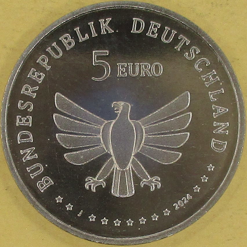 Zdjęcie do Trzmiel 5 euro