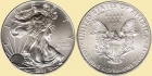 USA 2008 Silver eagle srebro lokacyjne 1oz Ag 999  