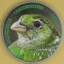 NEW PROVIDENCE 2024 Miauczek zielony Ailuroedus crassirostris  3 dolary 